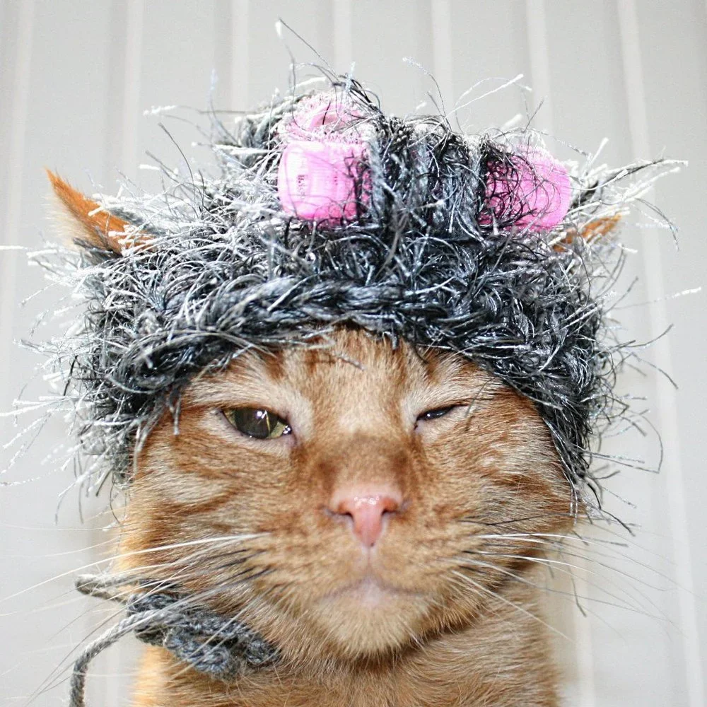 HAND CRAFTED Granny Hair Curlers Cat Hat Crochet Gray Hairy Wig Costume
